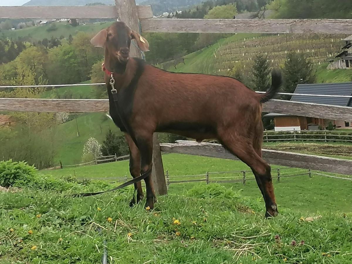 منزل الضيف Razgorce  في Ranch At Geta المظهر الخارجي الصورة